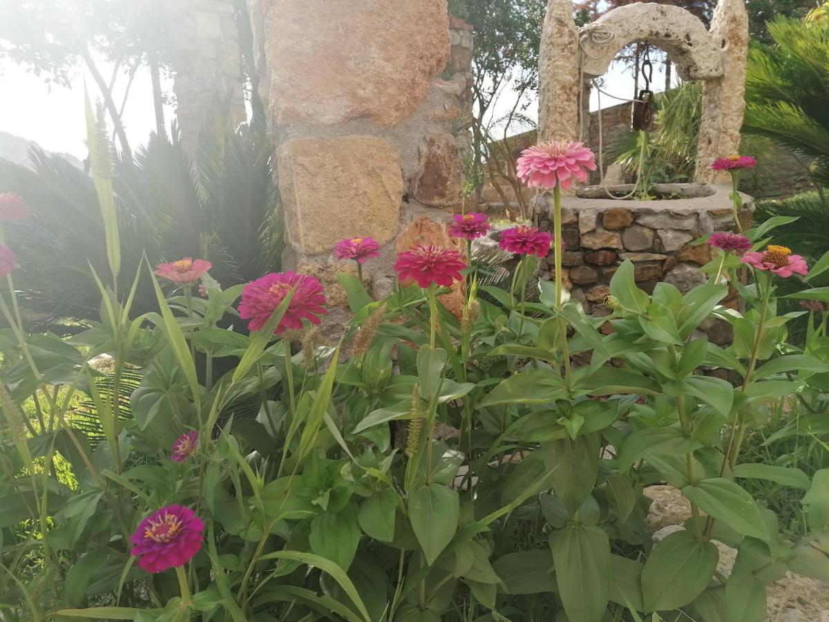 Villa Nonna Nina Capaci Exterior photo